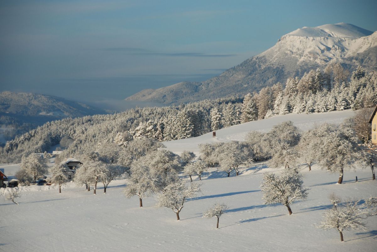 Foto Winterlandschaft mit Bergen